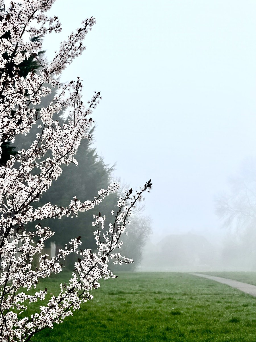 Not a Fitness Model tweet media