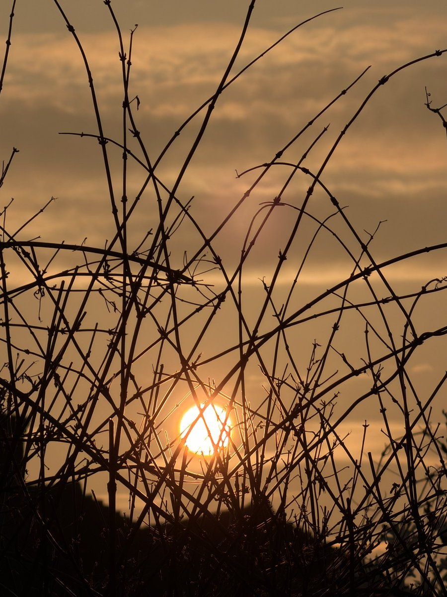 Not a Fitness Model tweet media