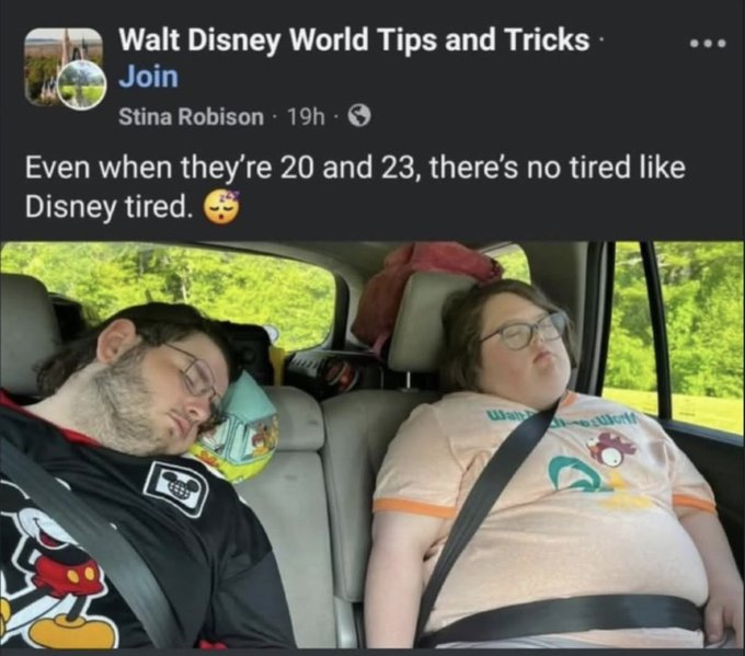 Reply Archive tweet media