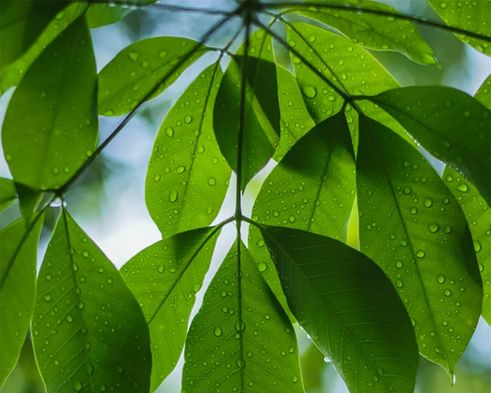 Where Women Work tweet media