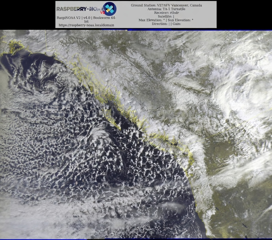 Peter Vogel tweet media