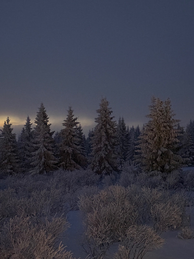 ByFormo's tweet image. 📸 Shot by Lukas Formo

Øyerfjellet, Norway — 14. January 2026, 16:53

#WinterWonderland #WinterForest #SnowyTrees #WinterLandscape #NaturePhotography