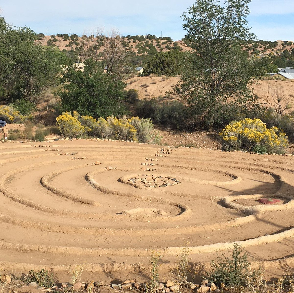 Cass Lewis tweet media