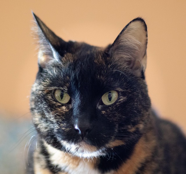 Scott Reynolds tweet media