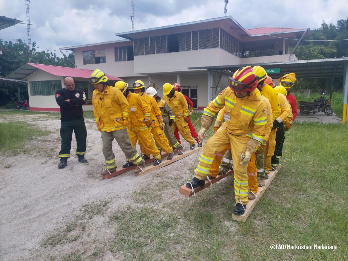 FAO Perú tweet media
