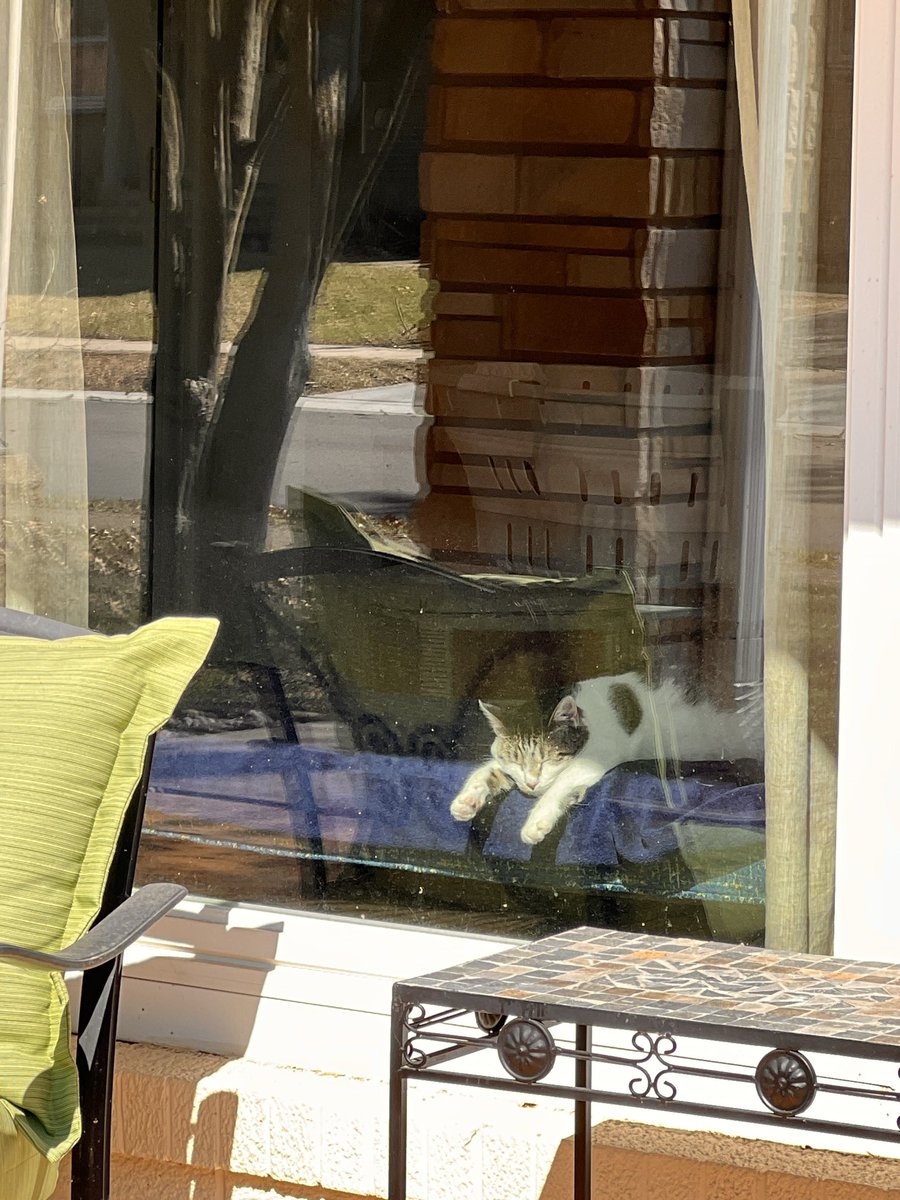 Laura Benedict tweet media