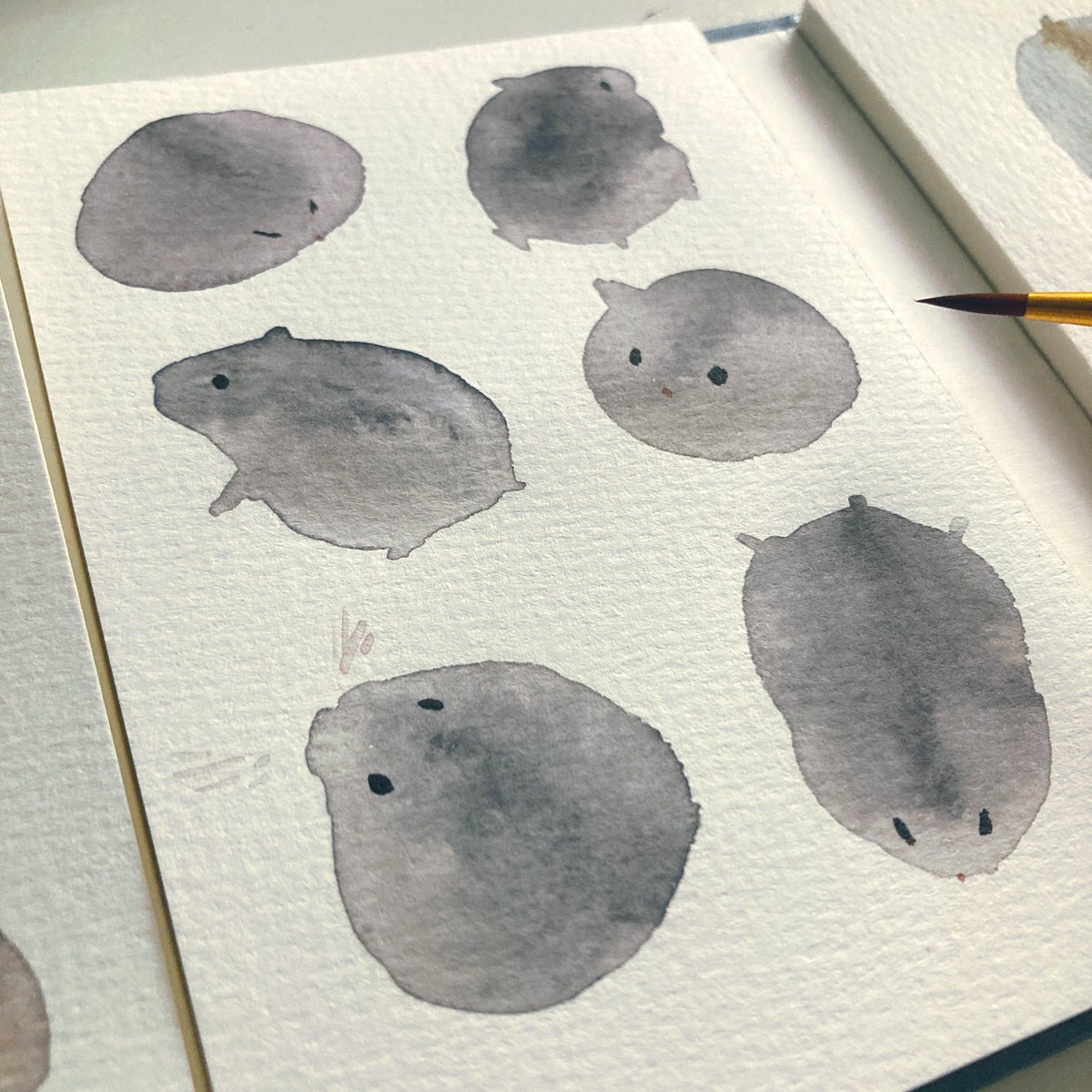 NORI STAR CREAM tweet media