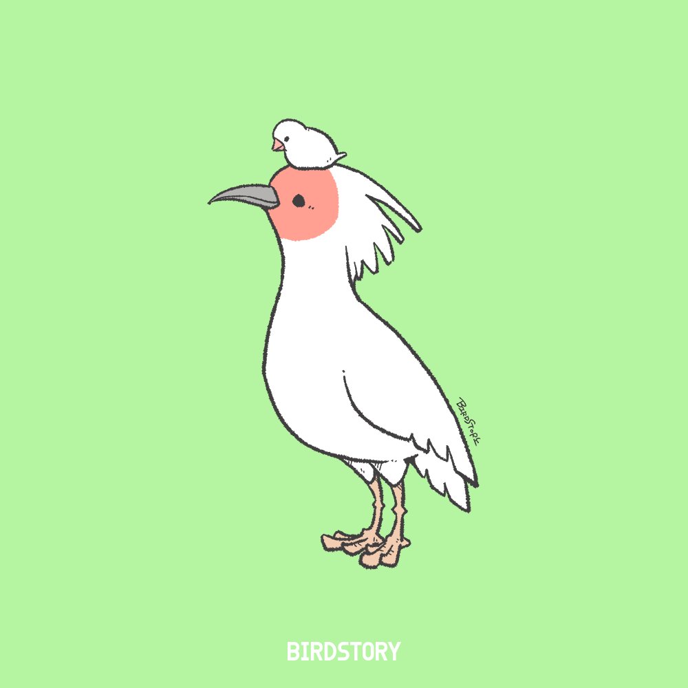 「今日3月10日は「佐渡の日」 さ(3)ど(10)の語呂合わせで制定されたそうです」|BIRDSTORYのイラスト