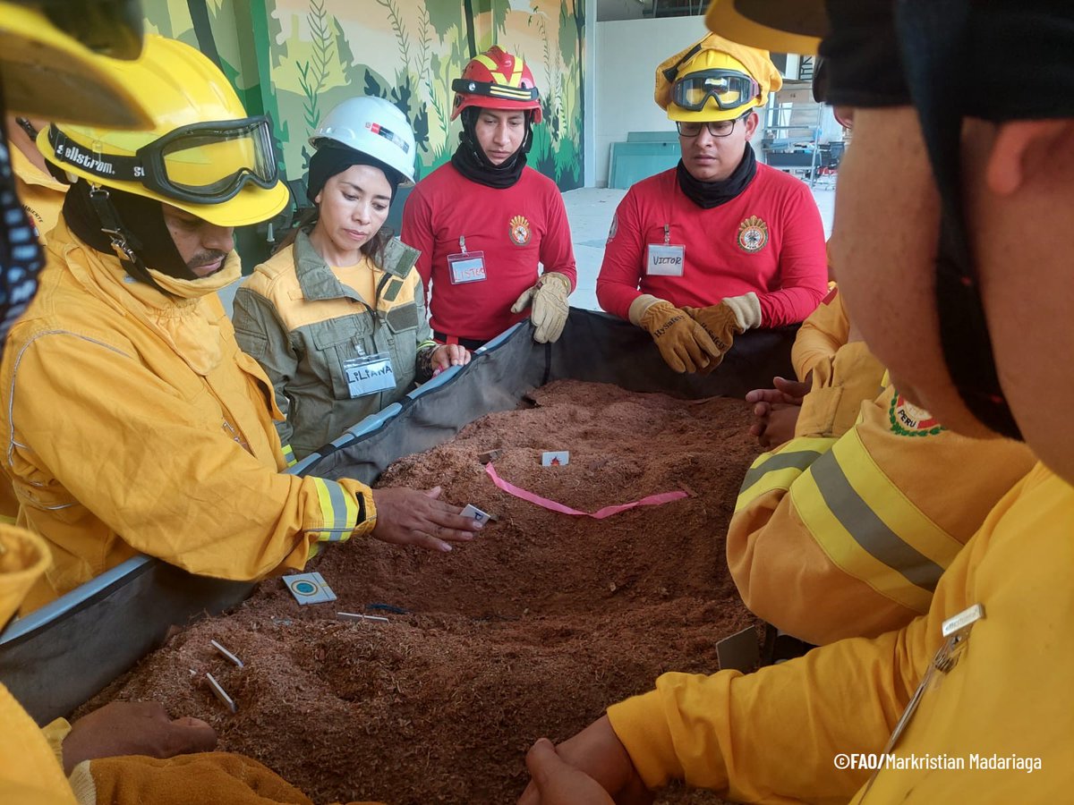 FAO Perú tweet media