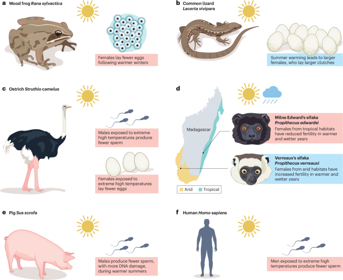 Nature Reviews Biodiversity tweet media