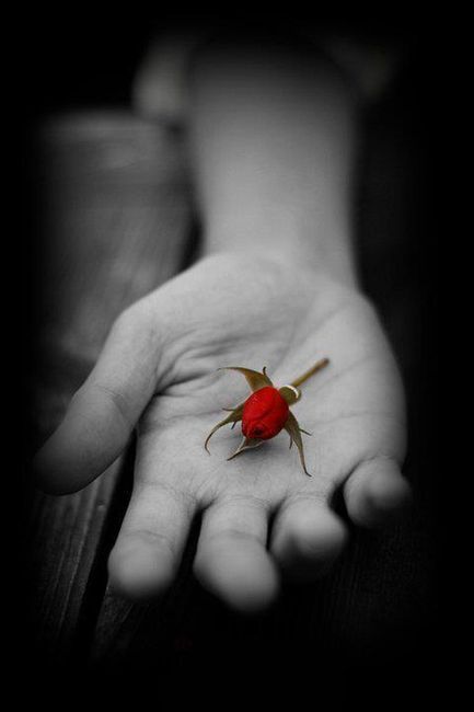 SOLOMON OF ABUJA 🤴 tweet media