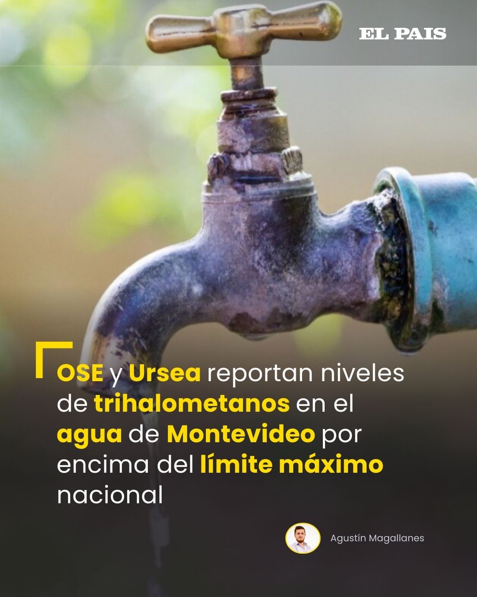 Gigibutterflys's tweet photo. A ver @OrsiYamandu @CosseCarolina https://t.co/awHsYlQDdJ