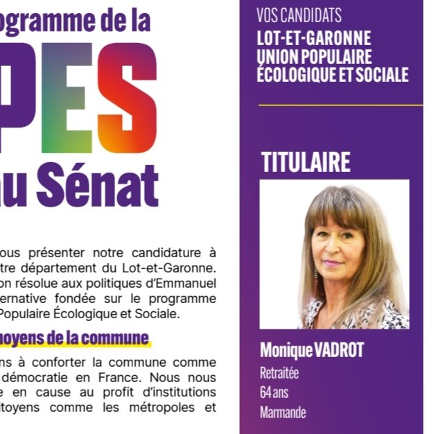 Conaissez-vous Monique Vardot alias Monica φ sue Twitter, candidate LFI aux Sénatoriales de 2023 qui aux propos ouvertement antisemites. Vous trouverez ci dessous un petit florilège de sa prose