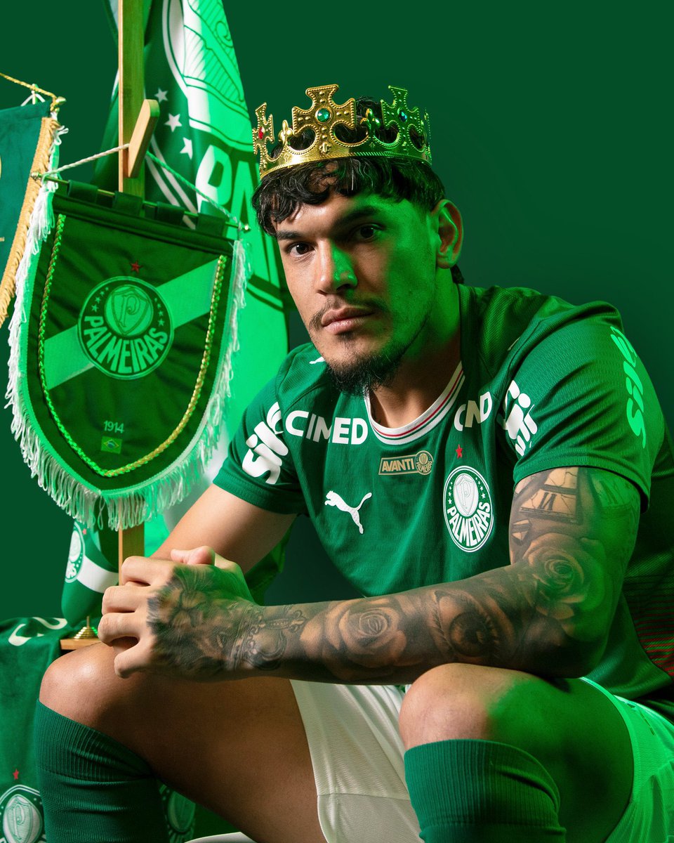 Gustavo Terini tweet media