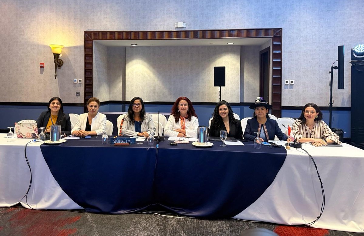 CNDDHH 🇵🇪 #ConsensoPorLosDDHH tweet media