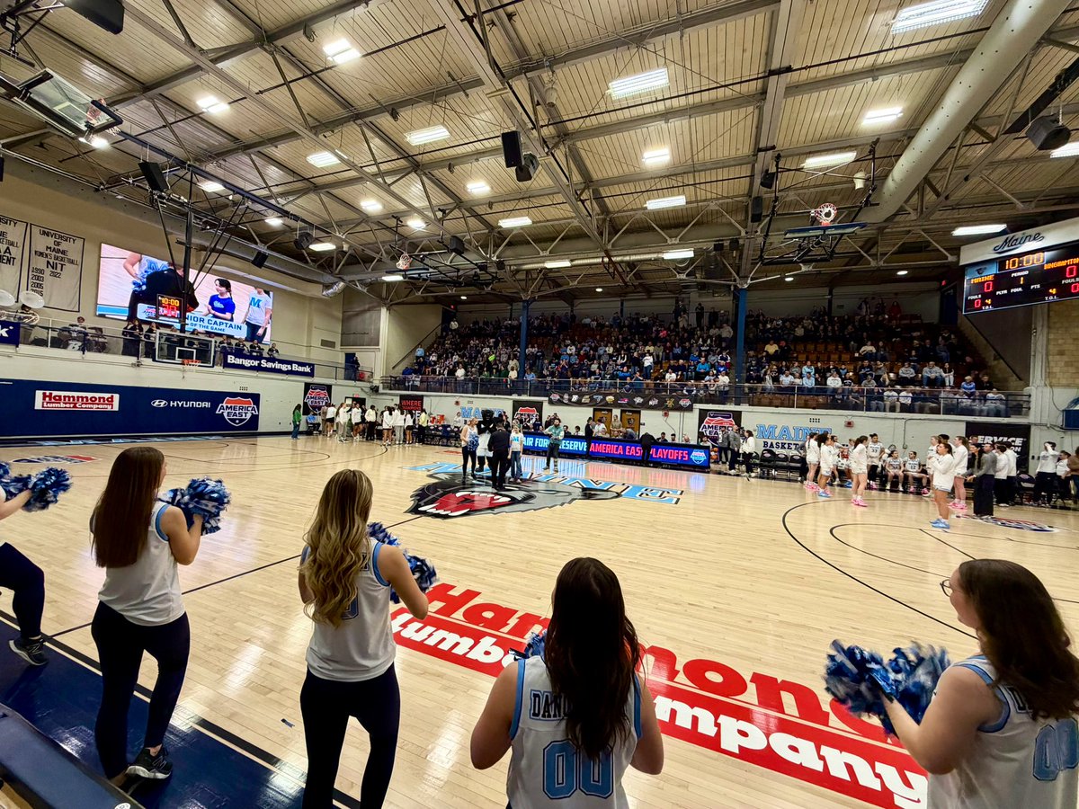 Michael Tricarico tweet media