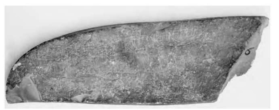 🇯🇴 tweet media