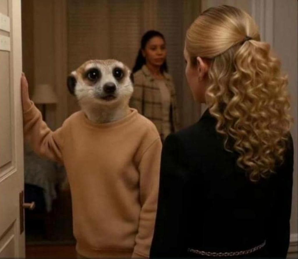 When she comes to apologize and catches you with the girl you were both arguing about