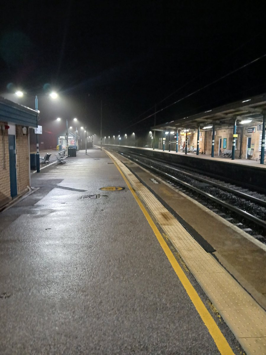 Tina Walsh tweet media