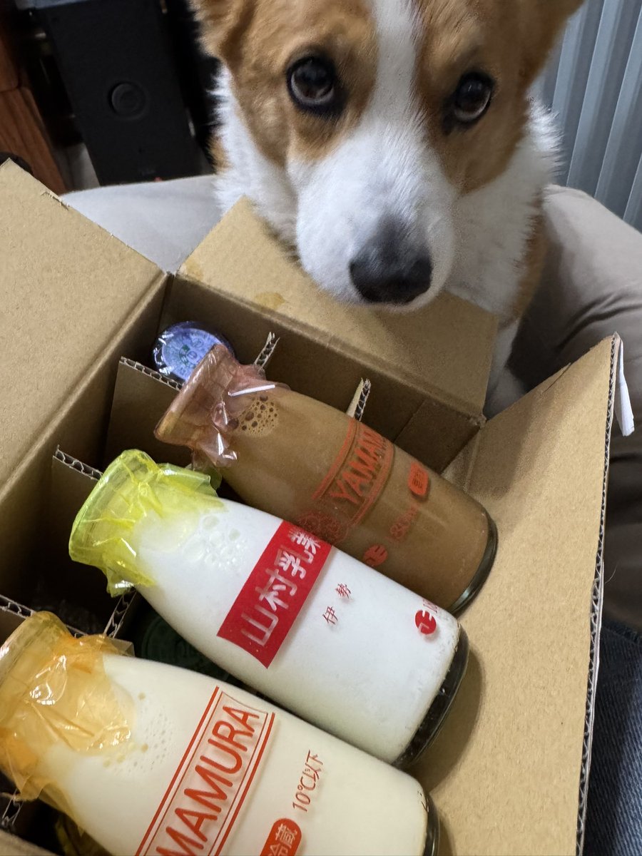 たいみん tweet media