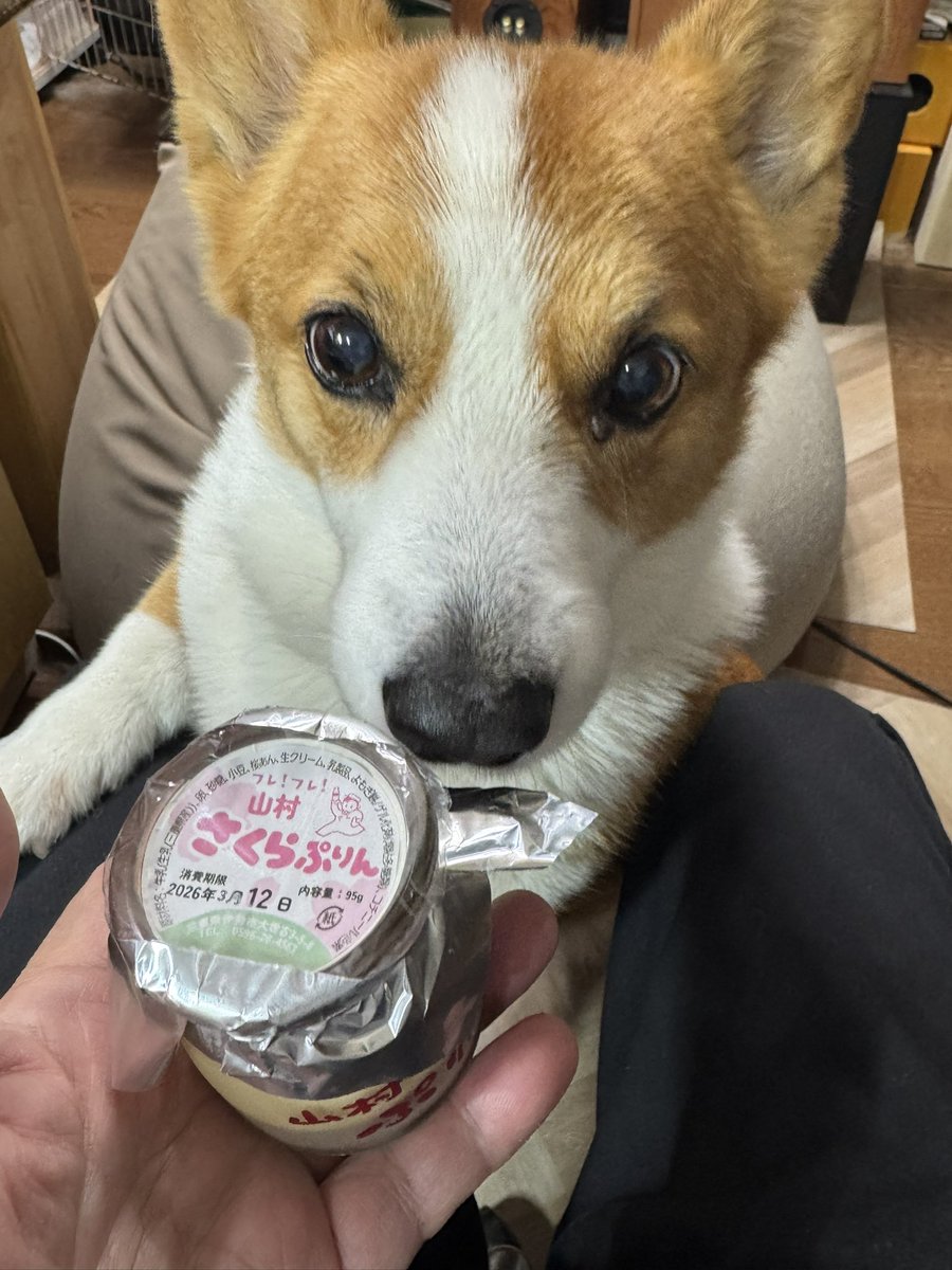 たいみん tweet media