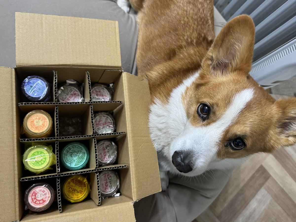 たいみん tweet media