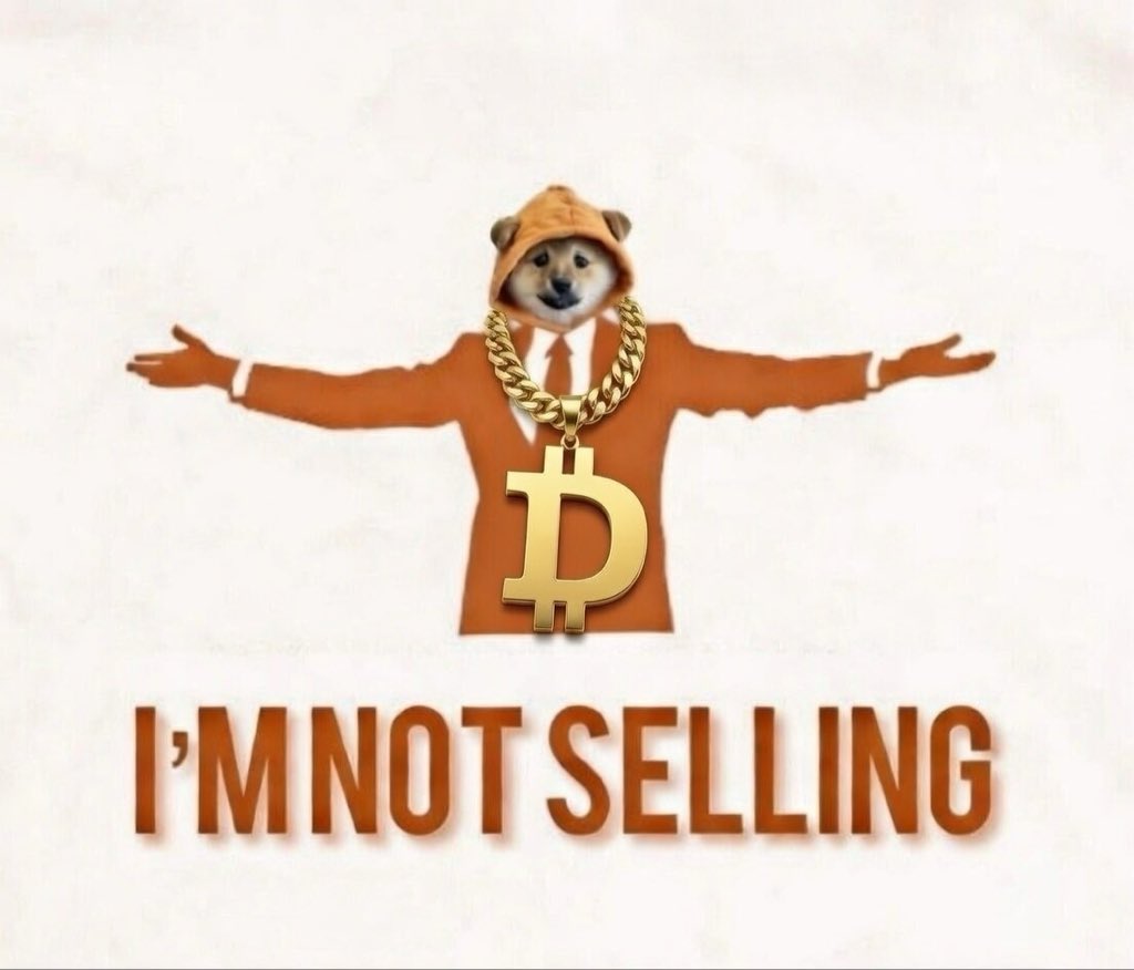 n1nja9 ™️ ₿ 🥷🏾 ᛤ (∞/21M) tweet media