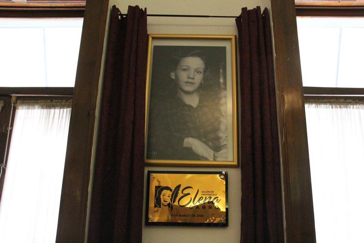 Revista Única tweet media