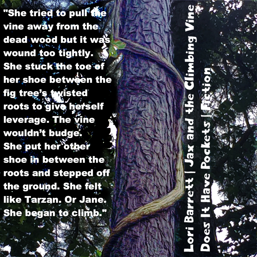 Does It Have Pockets tweet media