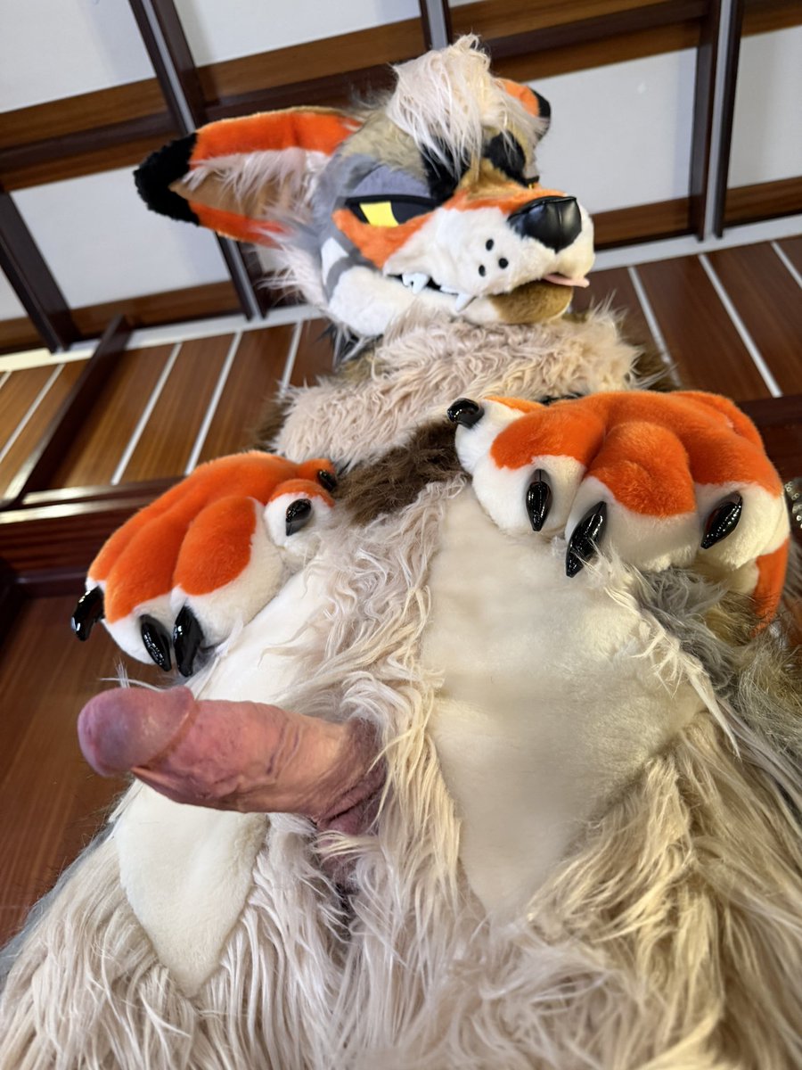 Lake Coyote tweet media