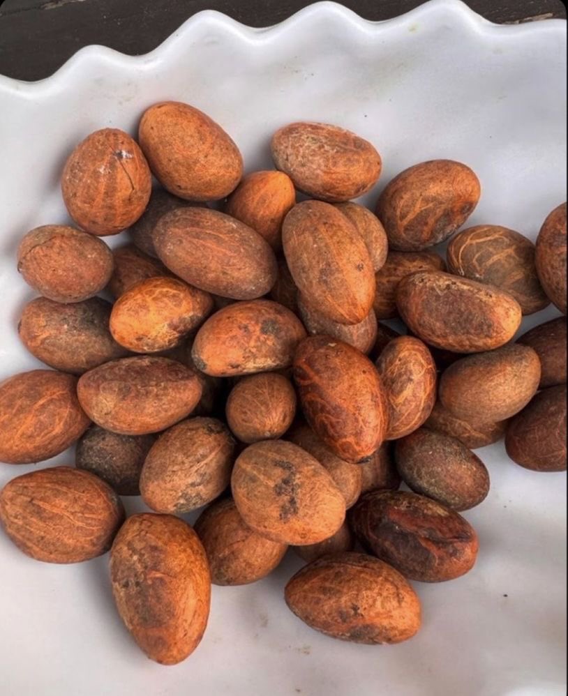 Ola omo Ola tweet media