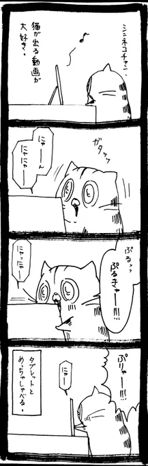 会話したい猫 
