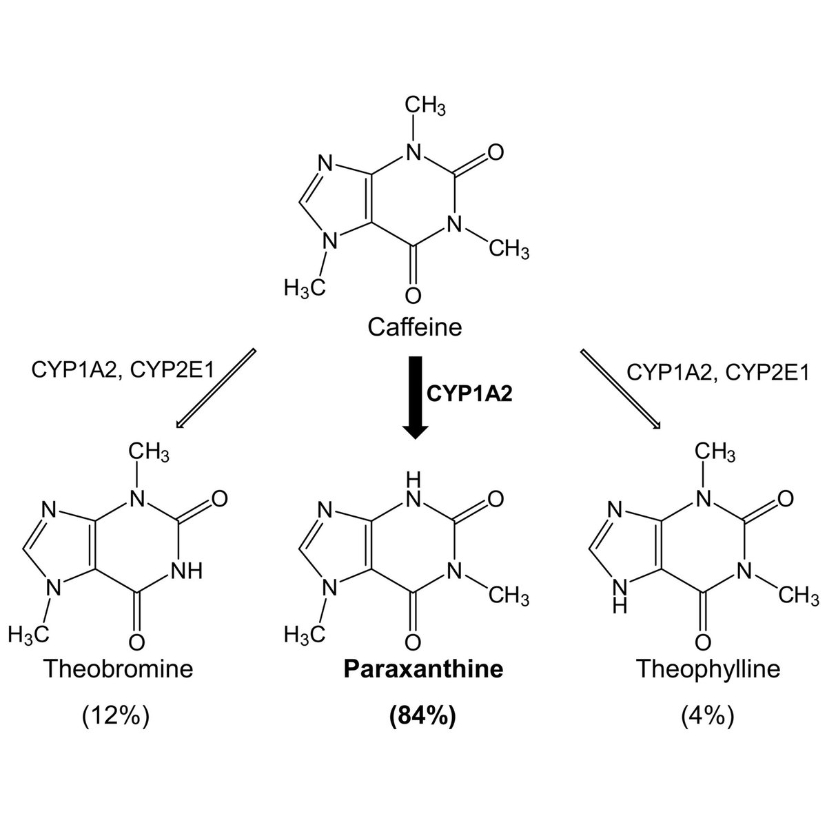 Modern Mythos ☀️ tweet media