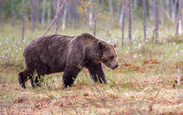 Carrie Waye tweet media