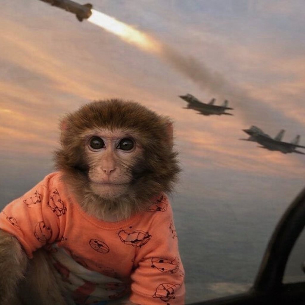 THE CHOSEN ONE ⭐️ tweet media