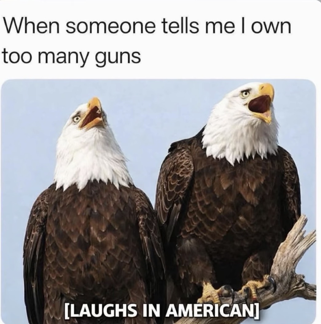 DCFGuns's tweet photo. Old meme, still checks out.
#DCF #2A #2Amemes #colorado https://t.co/t4xmIJZW7I