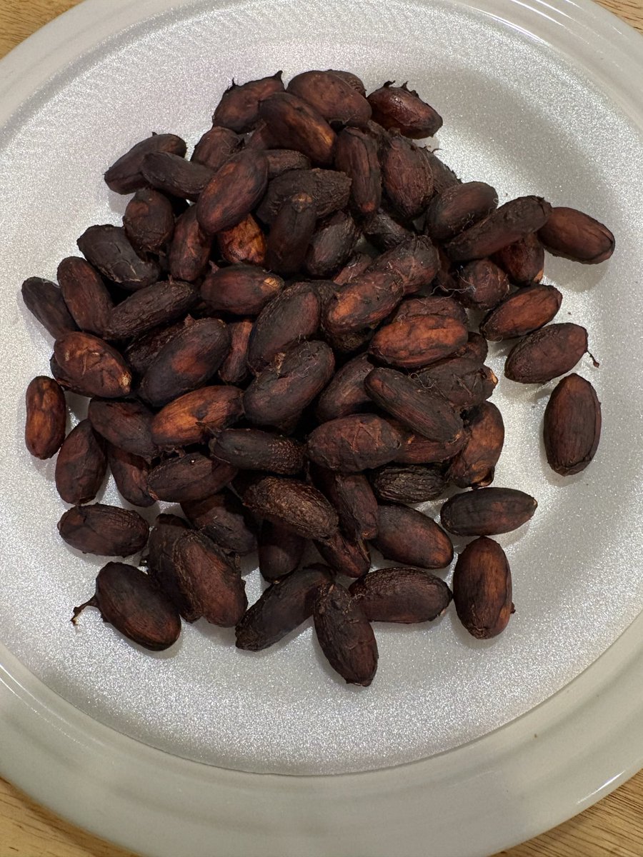 PuurRvt's tweet photo. Fermented and roasted my own cacao beans, what a cool experiment! @altonbrown I absolutely thought of your burping yeast puppets through the entire fermentation process. 😂 Thanks for that! https://t.co/YSE17NoSFz