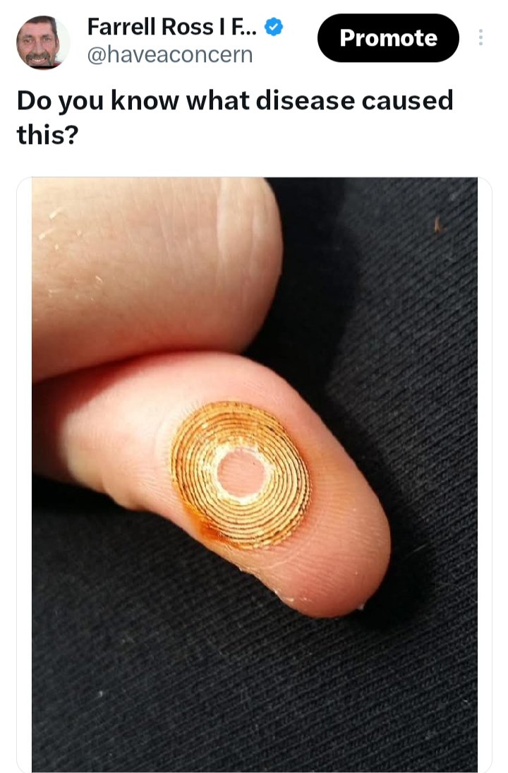 Trumplicans2024.com tweet media