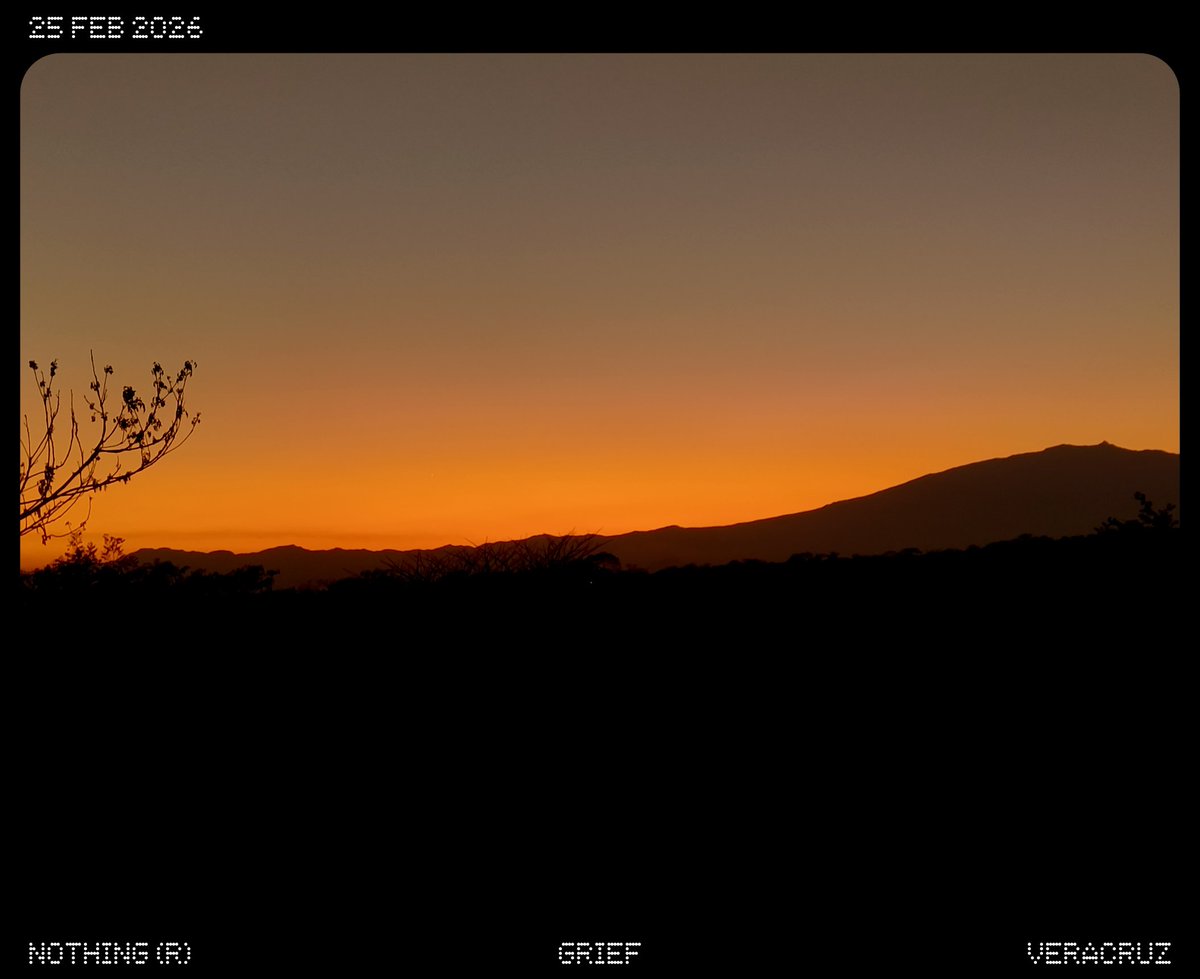 Raziel #Danonino #parrito tweet media