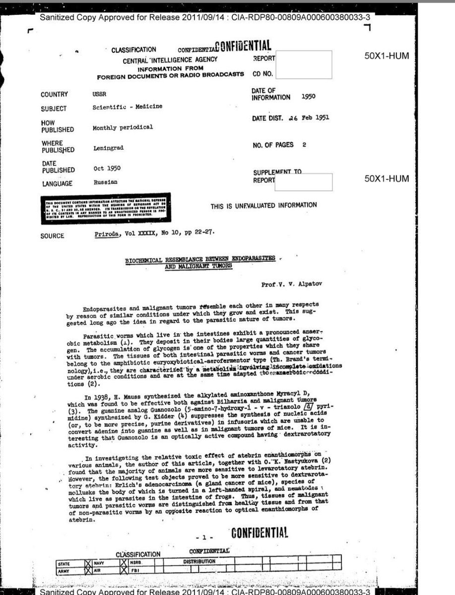 𝐒𝐓𝐎𝐑𝐌𝐏𝐑𝐎𝐓𝐎𝐂𝐎𝐋 ⚡️ tweet media