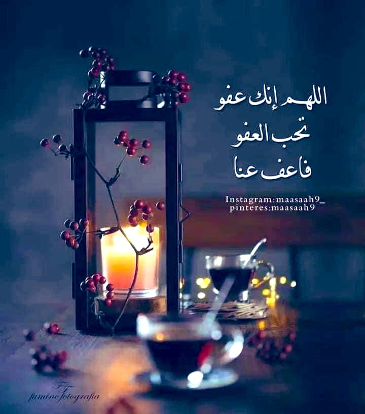 Mohammed Omar tweet media