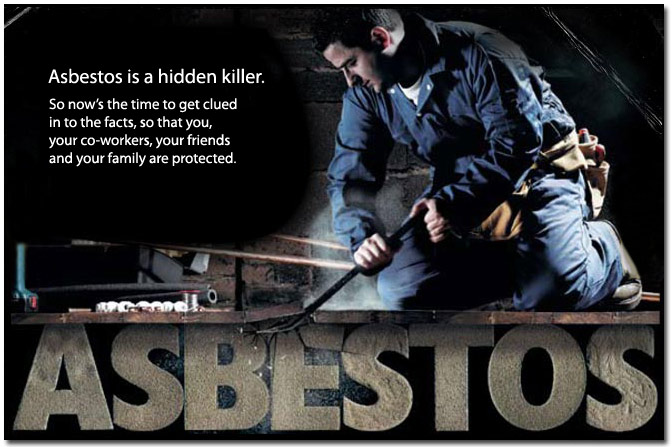 NEED HELP WITH ASBESTOS REMOVAL? CALL (613)699-2763