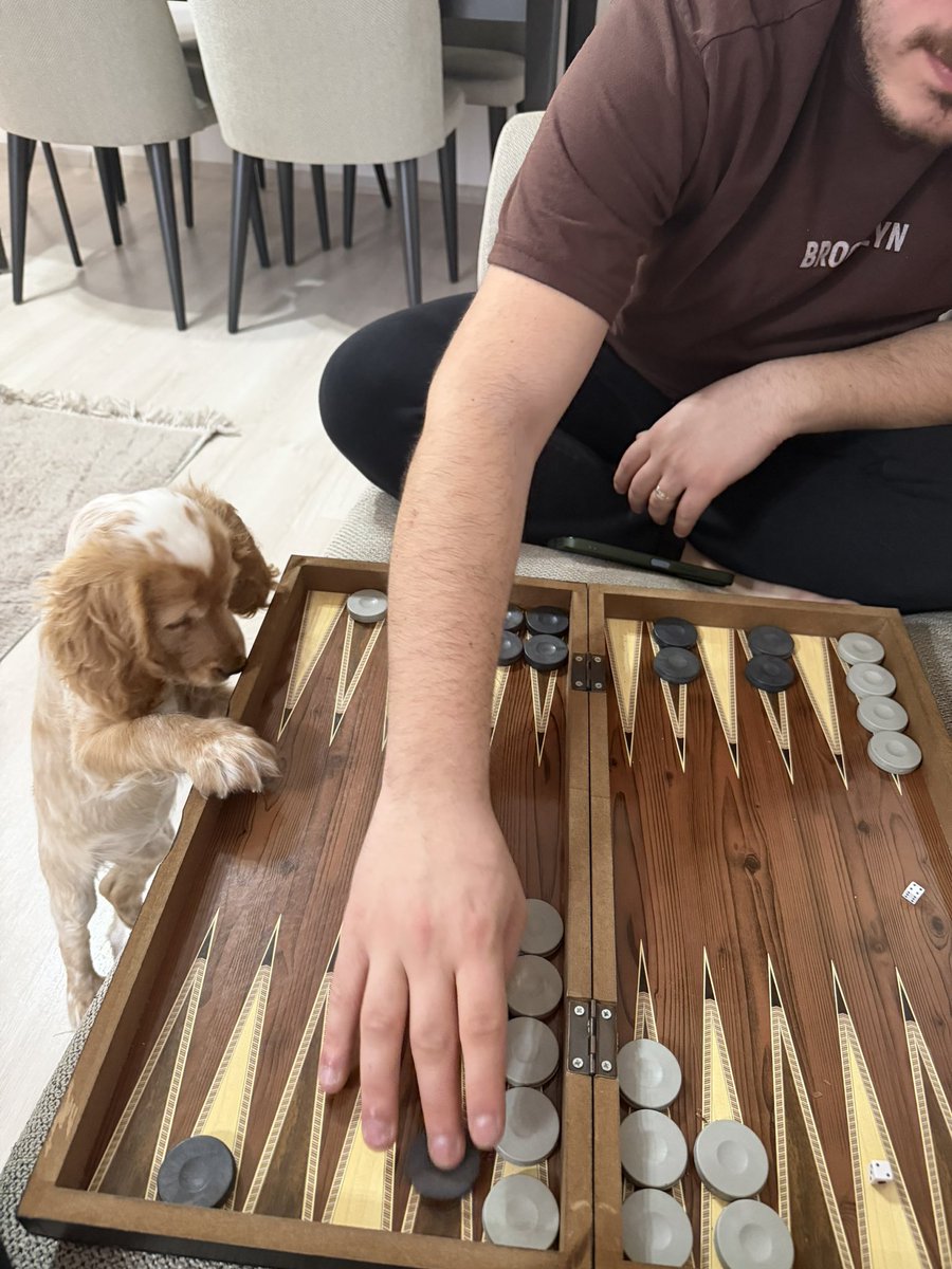 Evet, bize tavla da öğretmeye başladığına göre ailemizin bir üyesi olmuş demektir. 🎉🎉