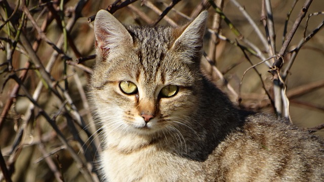 Angel Holmes tweet media