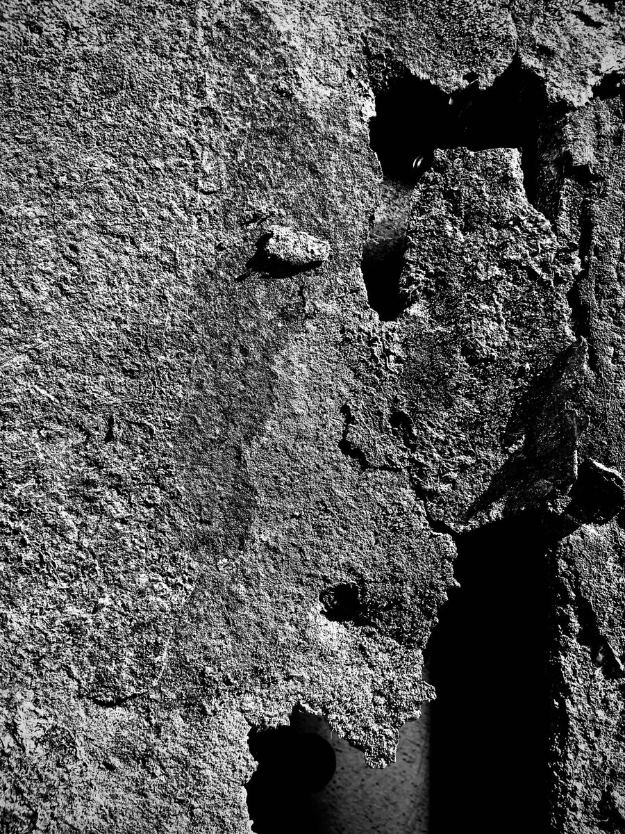 jimmy peggie tweet media