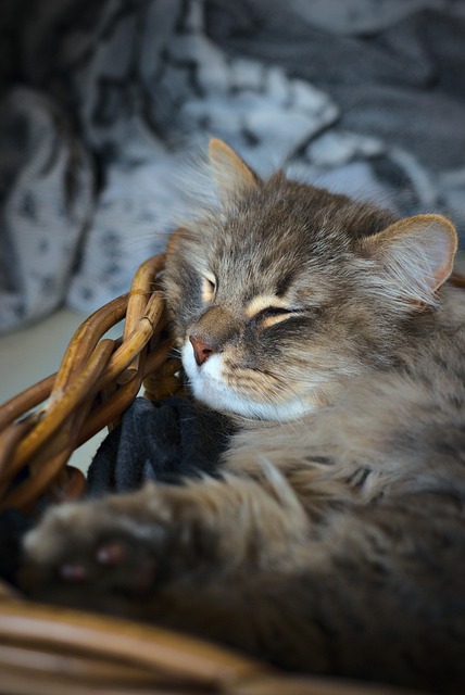 Jessica Jensen tweet media