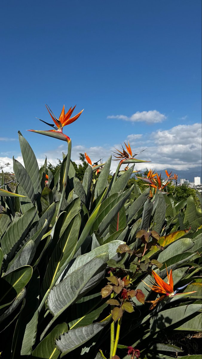 Steph González tweet media