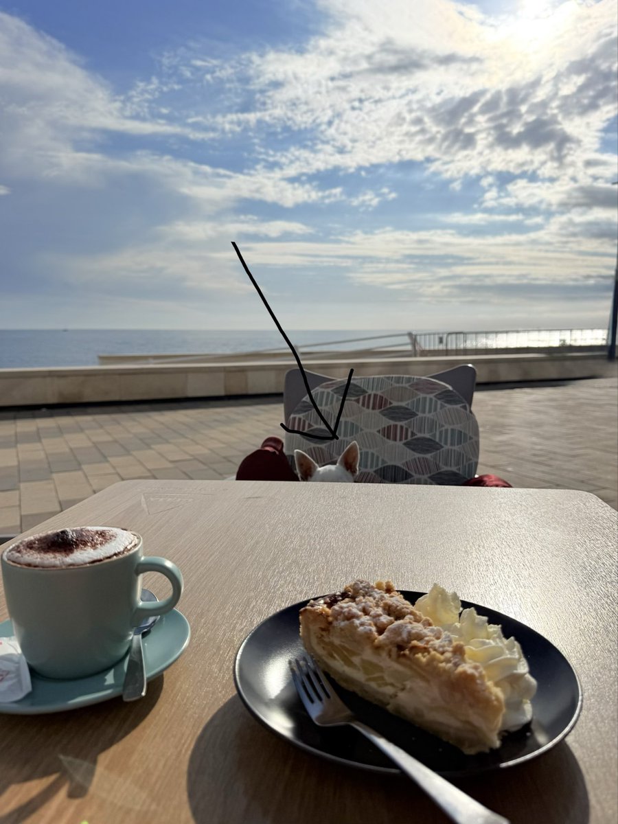 OrthopaeDenker tweet media