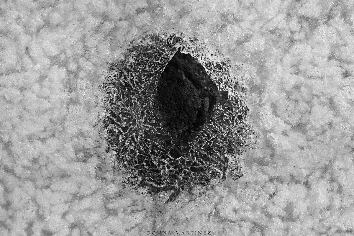 Finding Donna 🖤🤍📷 tweet media