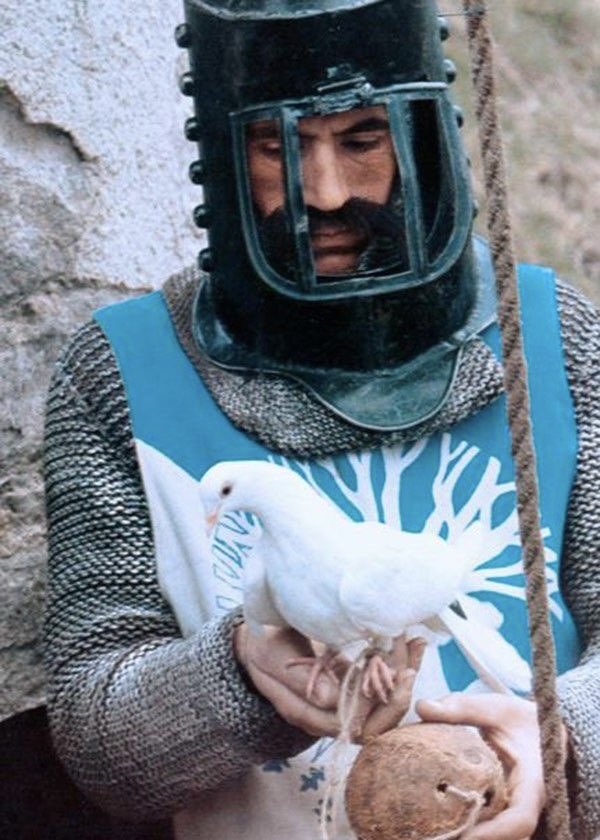 monty python every day tweet media